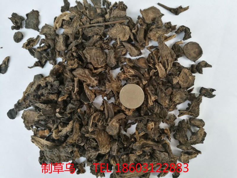 制草乌-根茎类-中药材-供应-中药谷信息网